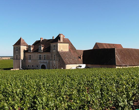 Visiter le Clos Vougeot en Bourgogne